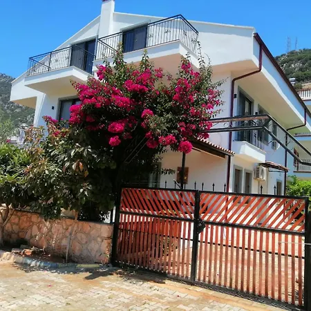 Daire Olive 3 --- Kaş