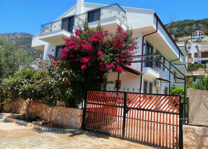 Daire Olive 3 --- Kaş